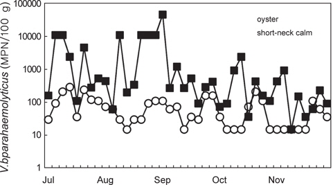 Monthly variation of Vibrio parahaemolyticus concentration in shellfish.