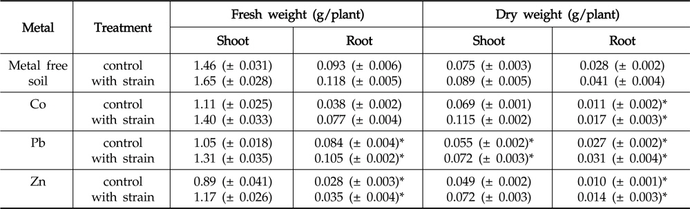 Effect of inoculation with Enterobacter ludwigii PSB 28 on shoot and root weight of Helianthus annuus