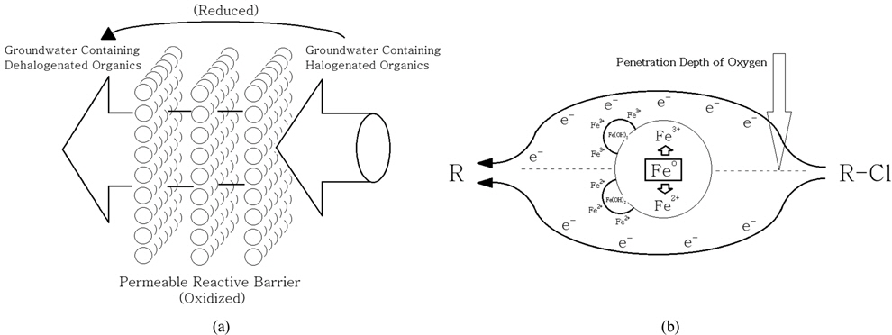 Scheme of the permeable reactive barrier for the dehalgenation reaction of halogenated organics contained in groundwater (a), and the variations of the oxidation reaction of Feo and the formation of passivating precipitate depending on the penetration depth of oxygen (b).