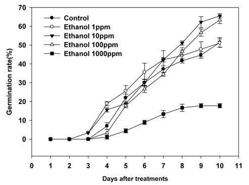 Effect of ethanol application on seed germination of dandelion.