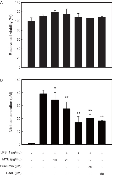 Effect of MYE on cell viability and nitric oxide (NO) production in LPS-stimulated RAW 264.7 cells. Cells pretreated with various concentrations of MYE for 1 h were stimulated with LPS (1 μg/mL) for 24 h (A, B). (A) Effect of MYE on cell viability analyzed by MTS assay. (B) Effect of MYE on NO production in LPS-stimulated RAW 264.7 cells. The culture media of the treated cells were used to measure the amount of nitrite to evaluate NO level. Curcumin and N6- (1- iminoethyl)- L- lysine (LNIL) were used as positive controls for the inhibitory effect. All data are presented as mean±SD of three independent experiments. *P<0.05 and **P<0.01 indicate significant differences compared to LPS-only group.