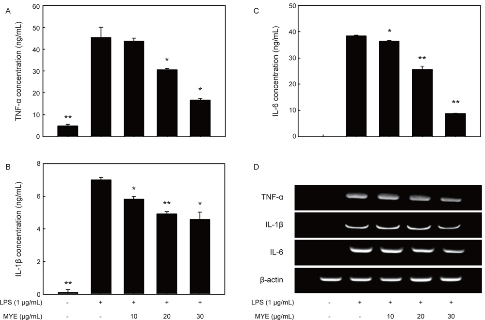 Effect of MYE on the production of pro-inflammatory cytokines in LPS-stimulated RAW 264.7 cells. Cells pretreated with various concentrations of MYE were stimulated with or without LPS (1 μg/mL) for 24 h. TNF-α, IL-1β, and IL-6 protein levels in the cell culture media were measured by ELISA (A, B and C, respectively) or their mRNA levels in the cells by RT-PCR analysis (D). Data represent mean±SD of three independent experiments. *P<0.05 and **P<0.01 indicate significant differences compared to LPS-only group.