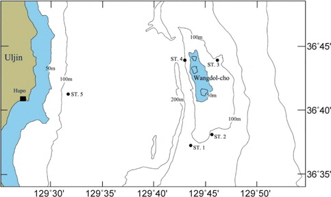 Map showing sampling stations of G. stelleri eggs and larvae off Wangdol-cho, East Sea.
