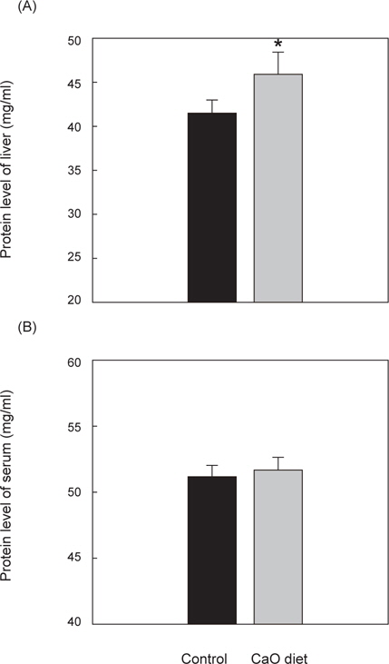 Protein level of liver (A) and serum (B) in olive flounder Paralichthys olivaceus. *Significant difference between control group and CaO diet group based on the t-test (P<0.05).