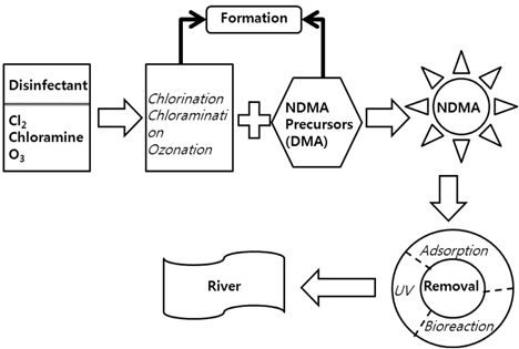 Formation and treatment of NDMA.