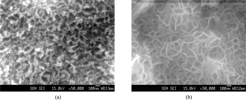 FE-SEM images of iron oxide nanotube (INC) film formed in 1M Na2SO4 + 0.5wt (％) NaF after anodization. (a) 20 V, (b) 40 V
