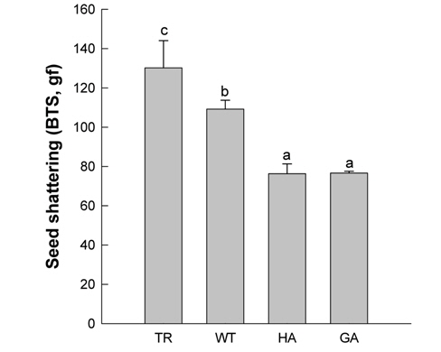 Seed shattering measured as breakage tension strength (BTS) of transgenic (TR), wild-type (WT) and weedy rice (HA: Hwaseong-aengmi 1; GA: Gwangyang-aengmi 12). Data are means + standard deviations. Values followed by the same letters are not significantly different (HSD test, p < 0.05).