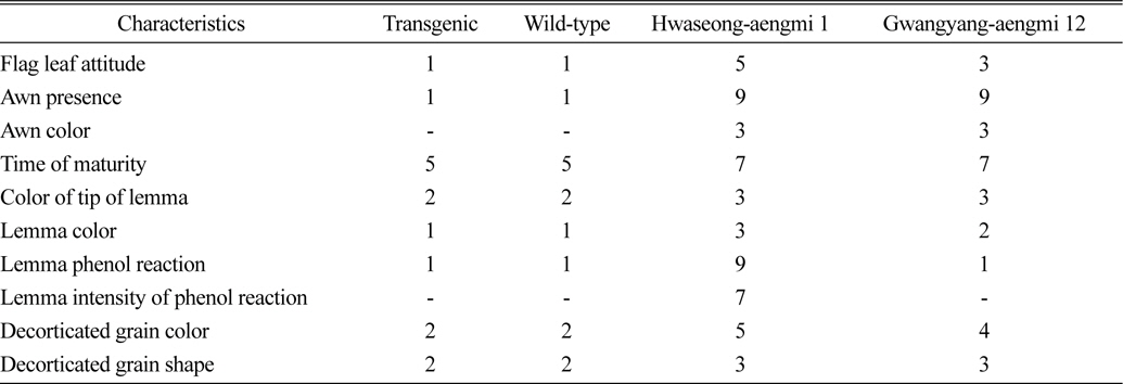 Qualitative characteristics of transgenic, wild-type and weedy rice.
