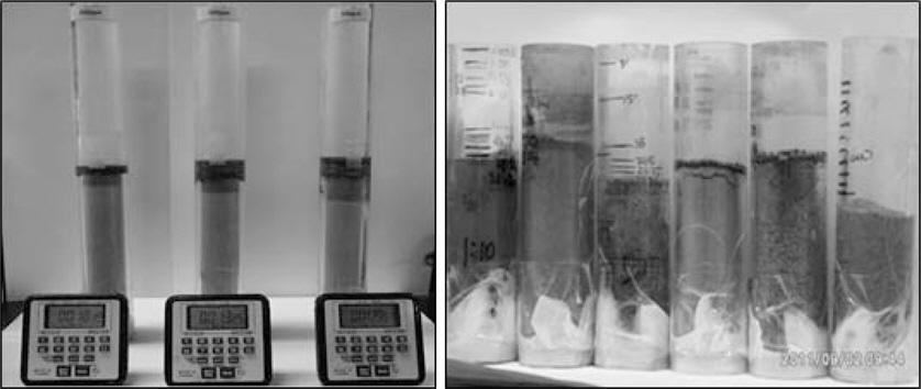 Pictures of acryl columns packed with different soil samples (left) to observe infiltration rate and distribution of organic matter in liquid pig manure with depth of soils (right).