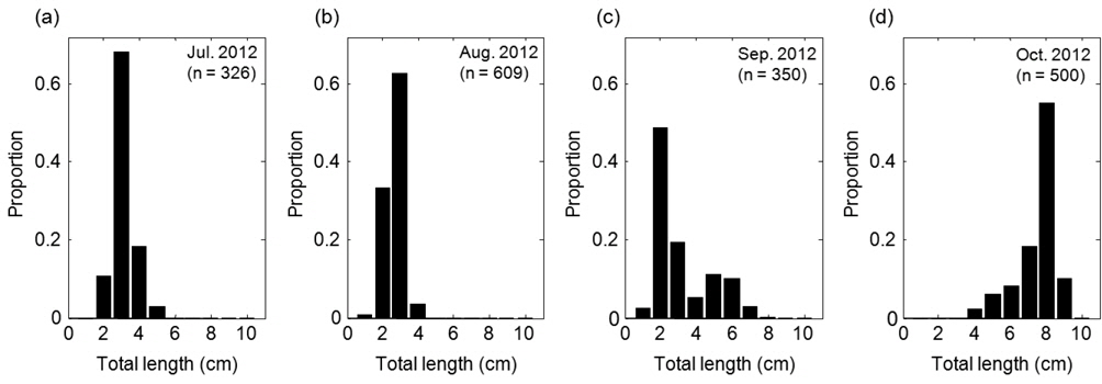 Monthly length frequency of dominant species Engraulis japonicus collected by a stow net from July to October, 2012.