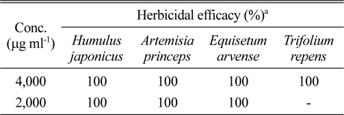 Herbicidal activity of foliar application of ethyl acetate fraction from Streptomyces scopuliridis KR-001 culture broth to troublesome weeds in semi-field condition.
