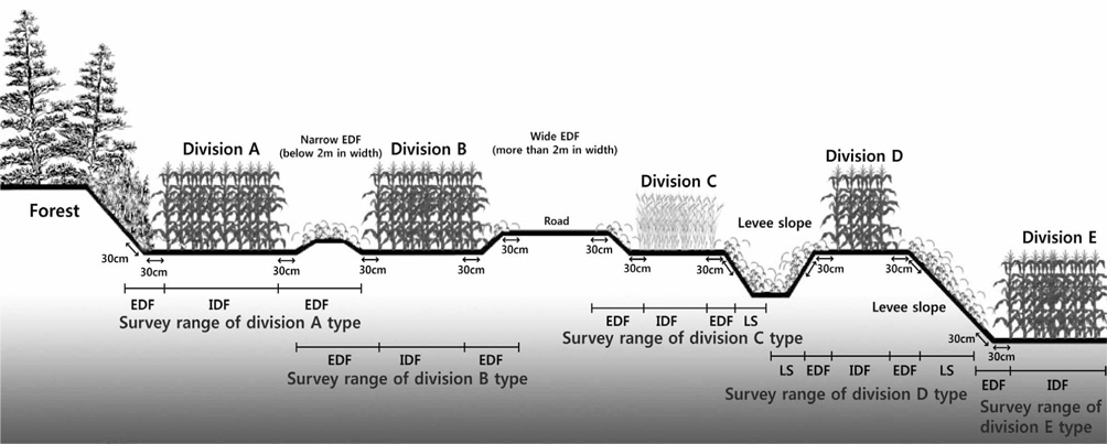 The diagram of survey range by division types.