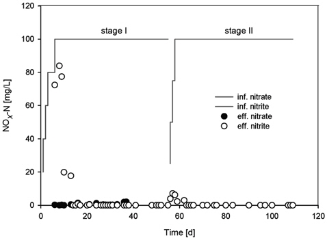 Daily variation of nitrate and nitrite concentrations of the thiosulfate-utilizing denitrification reactor.