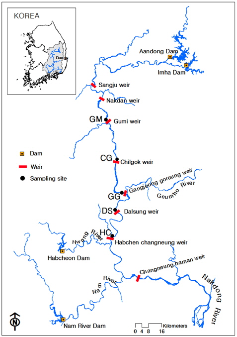 Sampling sites in the Nakdong River.