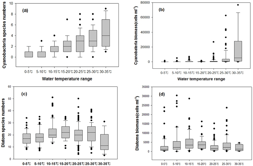 Variations of Species numbers and biomass for Cyanobacteria (a, b) and diatom (c,d) each water temperature range in the Nakdong River (n=435).