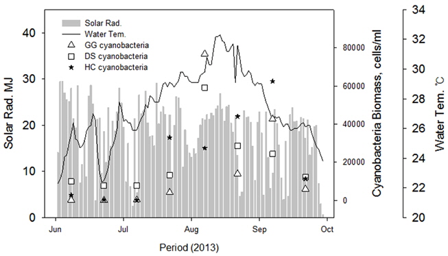 Fluctuation of cyanobacteria along to the water temperature and accumulated solar radiation at GG, DS and HC site from June to September 2013 in the Nakdong River.