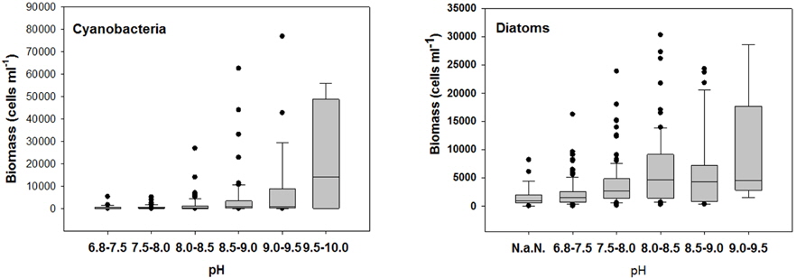 Distributions of biomass of Cyanobacteria and Diatom each pH ranges in the Nakdong River (n=435).