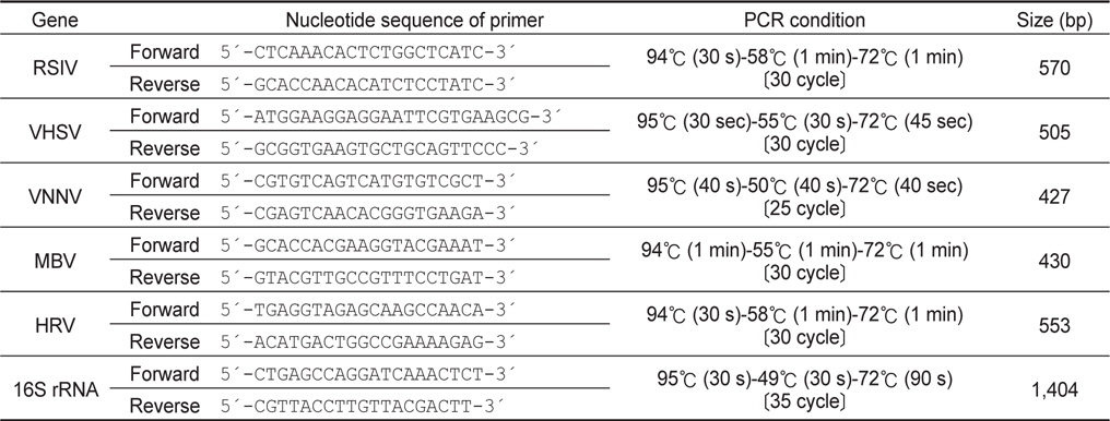 Oligonucleotide primers used in PCR amplification
