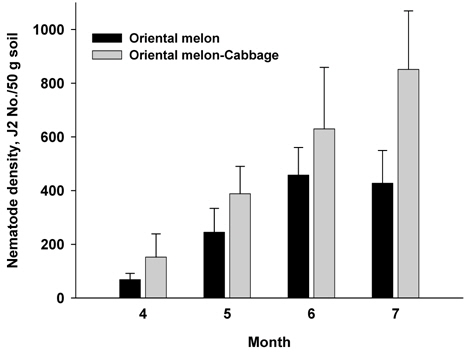 Comparison of nematode population densities in soils during oriental melon growing season in oriental melon single cropping system and oriental melon-Chinese cabbage double cropping system. Error bars represent standard errors. In the single cropping system, oriental melon was grown in plastic film houses, and in the double cropping system oriental melon was grown in plastic film houses and the following crop Chinese cabbage was grown after removing the plastic film.
