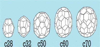 Types of fullerenes.