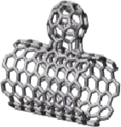 A nanobud on a carbon nanotube. Reprinted with permission from [29].