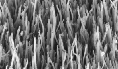 Carbon nanofibers. Reprinted with permission from [45].