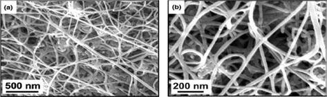 Scanning electron microscope (SEM) images of the as-synthesized carbon filament materials by catalytic decomposition of CH4 over Fe-Mo/Al2O3: (a) low-magnification SEM image and (b) high-magnification SEM image. Reprinted with permission from [48].
