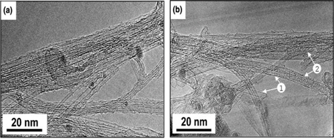 Transmission electron microscope (TEM) images of the assynthesized single-walled and double-walled carbon nanotubes (SWCNTs and DWCNTs): (a) high-resolution TEM (HRTEM) image of SWCNTs; (b) HRTEM image of SWCNTs. Reprinted with permission from [48].