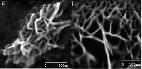 (a) High-magnification (b) scanning electron microscope image of water-soluble carbon nanotube from mustard soot. Reprinted with permission from [49].