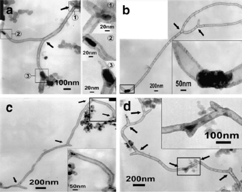 Transmission electron microscope images of branched carbon nanotubes with two (a and b), four (c) and six (d) branches or junctions, as indicated by black arrows. High-magnification images of catalyst particles with various shapes are shown in the insets of the corresponding figures. Reprinted with permission from [50].
