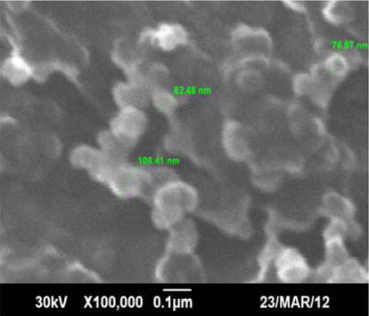 Scanning electron microscope and energy-dispersive X-ray spectroscopy analysis of soot obtained from the atmospheric combustion of kerosene. Reprinted with permission from [57].