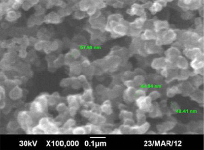 Scanning electron microscope and energy-dispersive X-ray spectroscopy analysis of soot obtained from the atmospheric combustion of diesel. Reprinted with permission from [57].