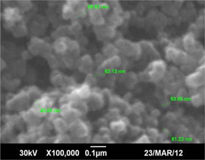 Scanning electron microscope and energy-dispersive X-ray spectroscopy analysis of soot obtained from the atmospheric combustion of lubricant. Reprinted with permission from [57].