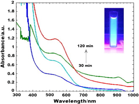 UV-Vis spectroscopy of C-dots representing characteristic absorption between 450 and 650 nm. Inset shows intense green colour under UVlight (λex = 365 nm) of C-dots. Reprinted with permission from [60].
