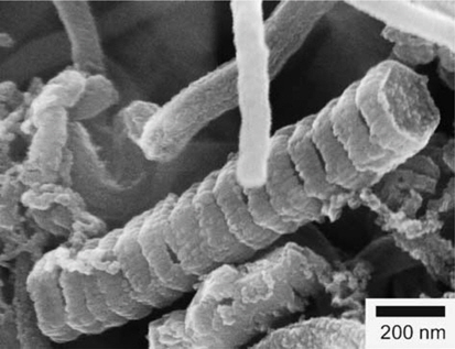 Field-emission scanning electron microscope micrographs of carbon nanofibers synthesized. Reprinted with permission from [61].