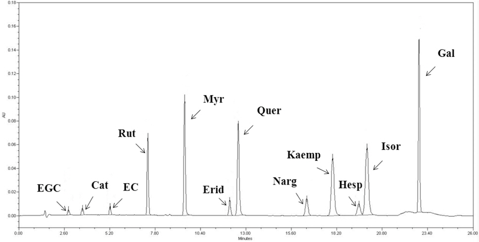 Ultra Performance Liquid Chromatography (UPLC) UPLC chromatogram standards of flavanols, flavonols and flavanones. Abbreviations : EGC, epigallocatechin; Cat, catechin; EC, epicatechin; Rut, rutin; Myr, myricetin; Quer, quercetin; Kaemp, kaempferol; Isor, isorhamnetin; Erid, eriodictyol; Narg, naringenin; Hesp, Hesperetin; Gal, galangin(Internal standard).