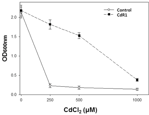 Cd sensitivities in control and CdR1 yeast cells.