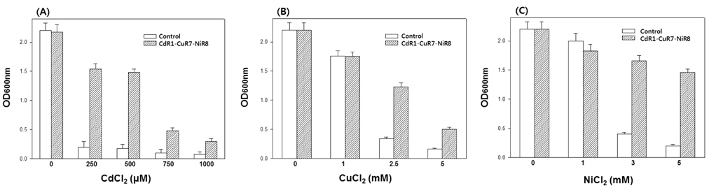 Cd, Cu, and Ni sensitivities in control and CdR1-CuR7-NiR8 cells.