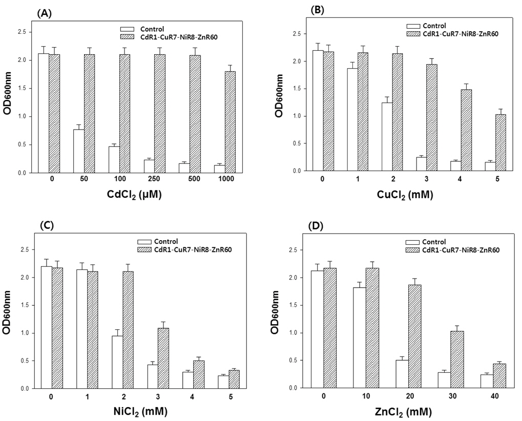 Cd, Cu, Ni and Zn sensitivities in control and CdR1-CuR7-NiR8-ZnR60 cells.