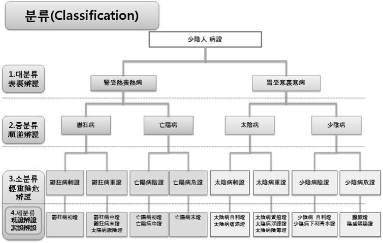 Classification of Soeumin symptomatology