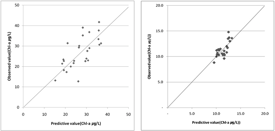Relationship between observed and calculated Chl-a concentrations, 14 Oct. (left), 12 Nov. (right), 2013.
