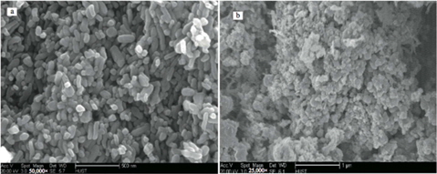 SEM images of iron oxide nano catalyst after Hg0 oxidation at 300°C (a) and 400°C (b) [82].