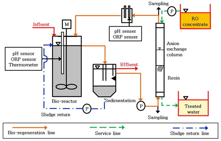 Schematic diagram of combined bio-regeneration and ion-exchange system.