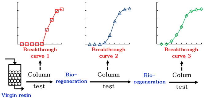 Experimental sequence of breakthrough and bio-regeneration test.