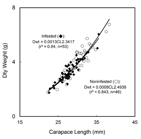 Relationship between carapace length (CL) and dry weight (Dwt) for infested and noninfested shrimps
