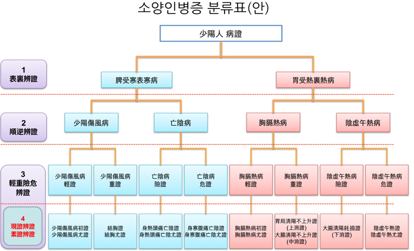 Classification of Soyangin symptomatology