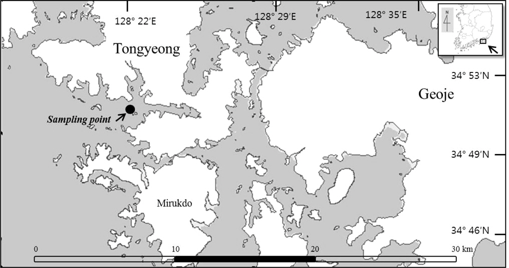 Location of the sampling sites in Tongyeong city, Korea.