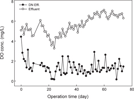 DO concentration in the ANR system during the operation period.