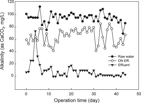 Alkalinity concentration in the ANR system during the operation period.