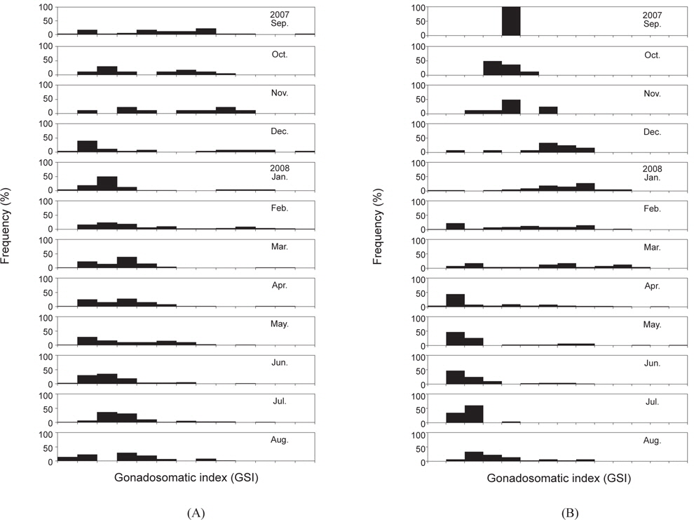 Monthly changes in gonadosomatic index (GSI) of female (A) Chionoecetes opilio and (B) Chionoecetes japonicus in the East Sea.